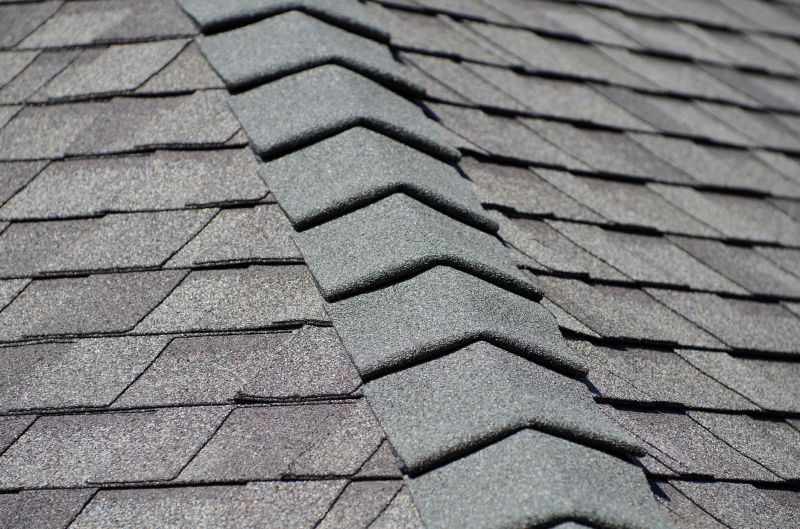 Roofing Service in Summer