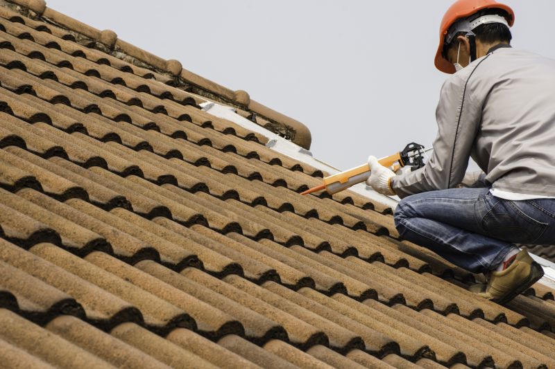 Professional Roofing Consultation